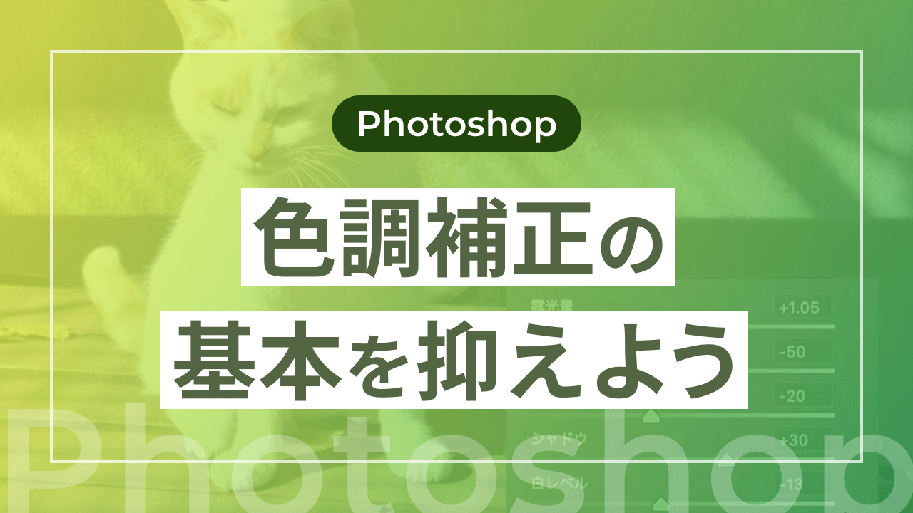 【Photoshop】色調補正の基本を抑えよう